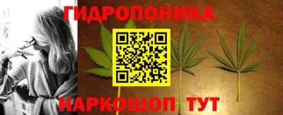 стафф Бузулук
