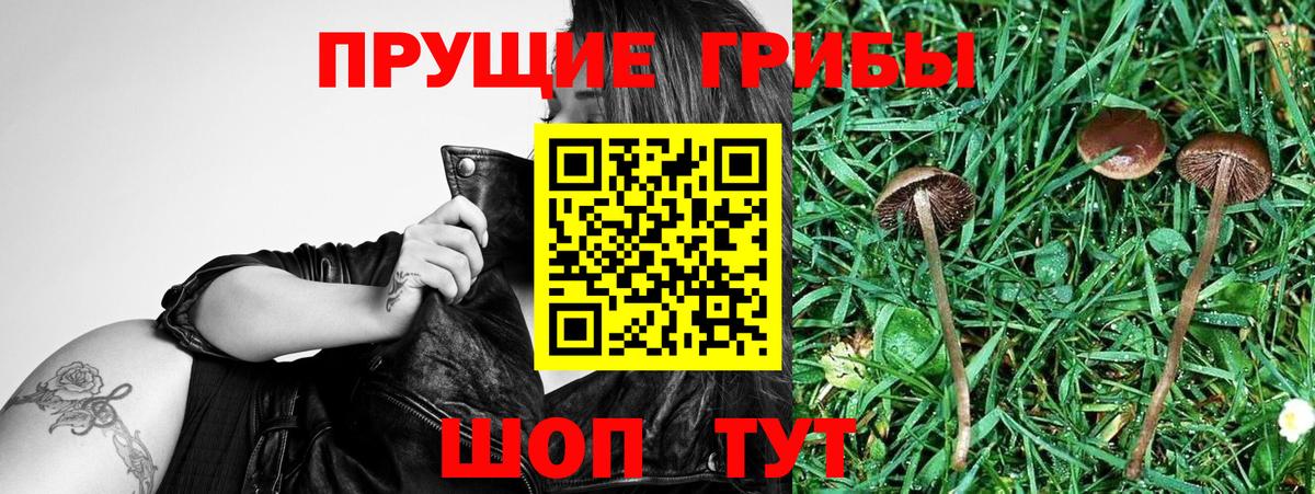 Псилоцибиновые грибы ЛСД Лобня